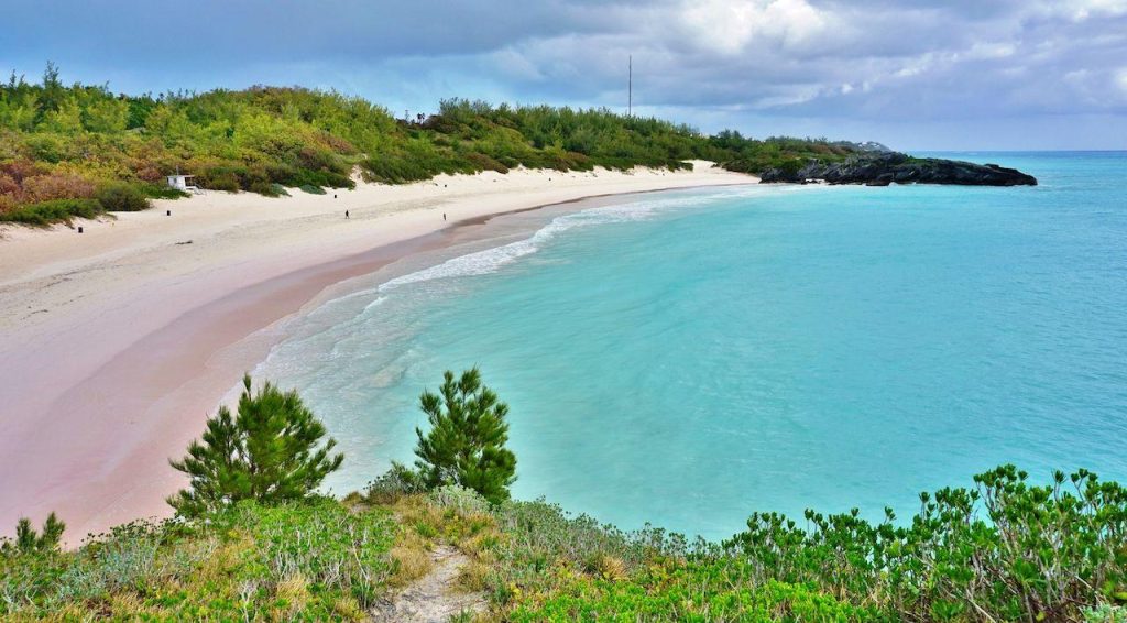 bermuda 3
